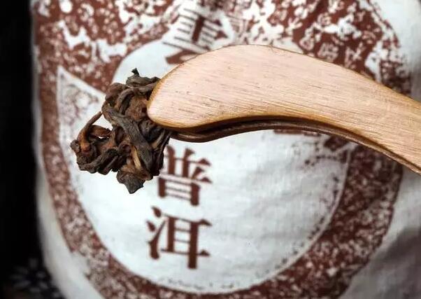 从普洱茶叶底辨认不同的普洱茶