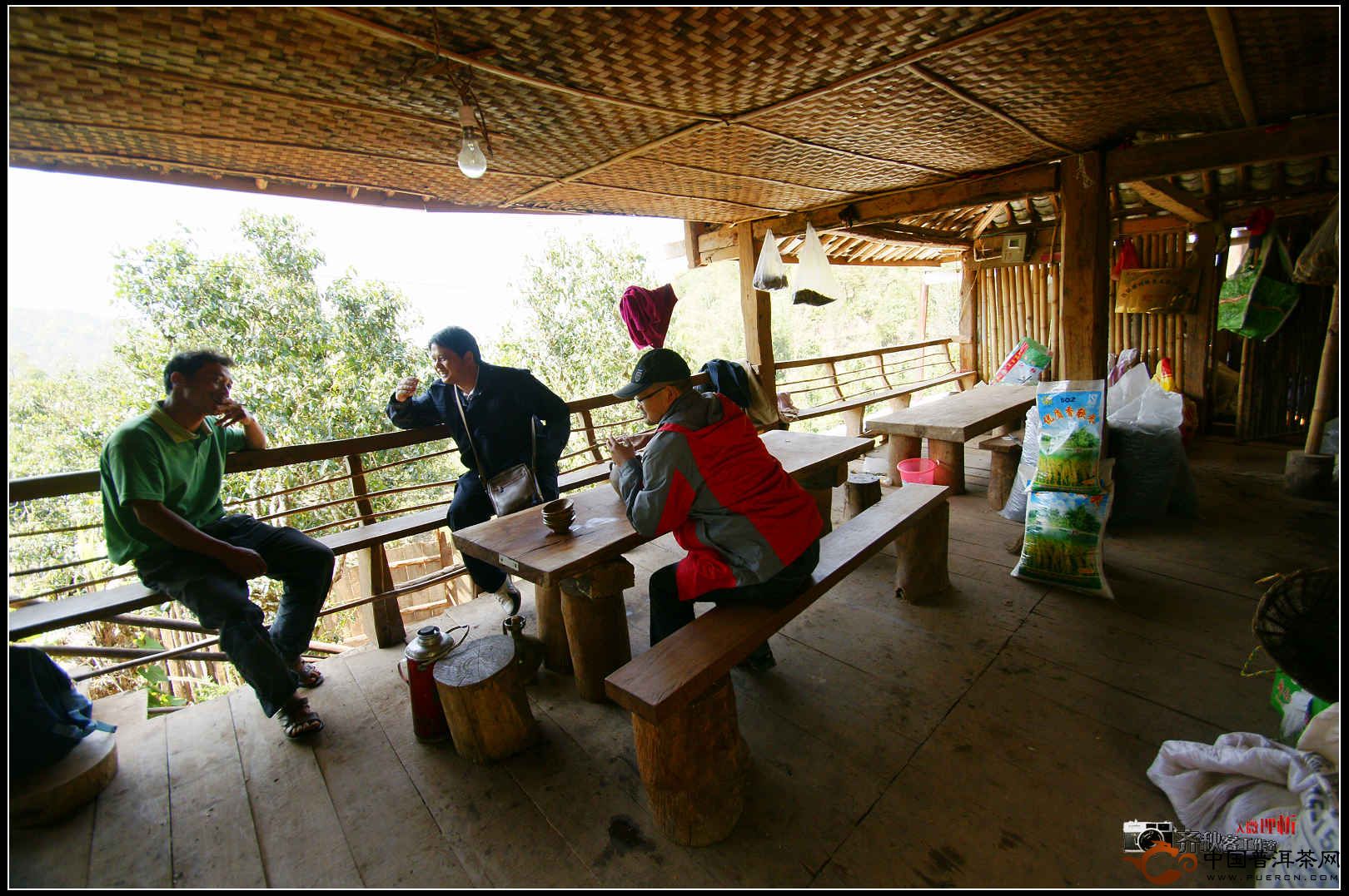 2011年普洱茶山行：困鹿山古茶园（1）