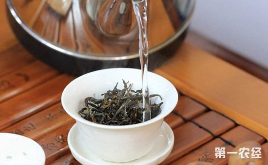 普洱茶的功效与禁忌是什么？常见的普洱茶品饮误区