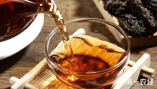 喝普洱茶能减肥吗？普洱茶减肥功效原理是什么？