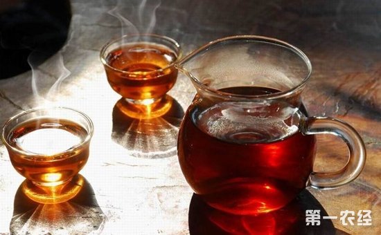 为什么喝普洱茶能醒酒、解烟毒？