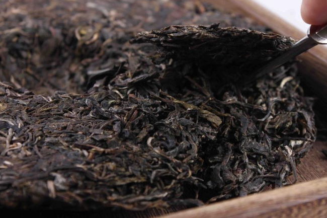 普洱茶储存保质期普洱茶生茶能放多久