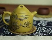 普洱茶的冲泡：各种类型的普洱茶泡茶法