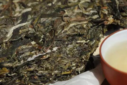 古树纯料普洱茶有哪些特点？