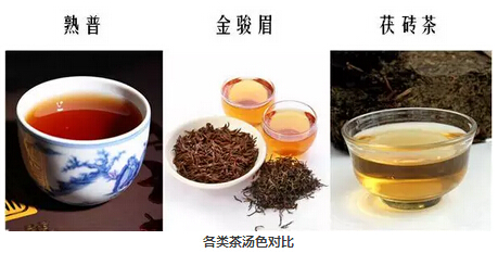 普洱茶到底属于哪类茶你真的清楚吗？