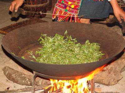 普洱茶的传统制作工艺