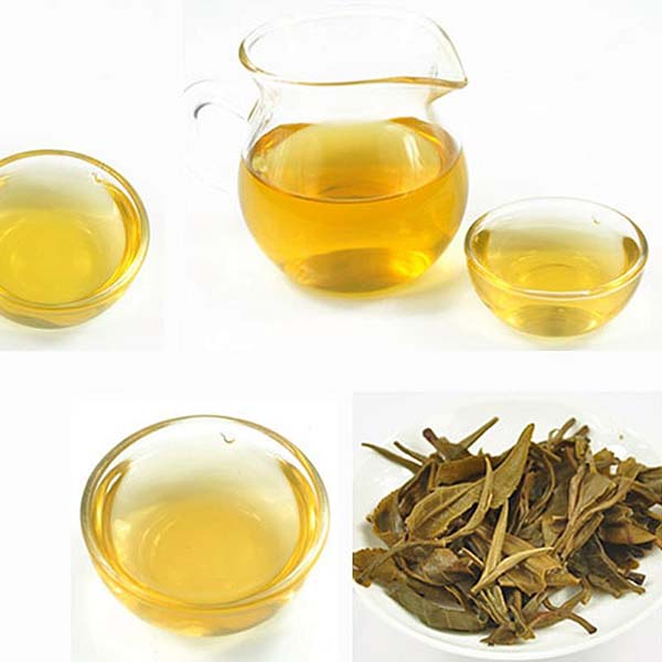 生普洱茶怎么样生普洱茶最好的保存方法