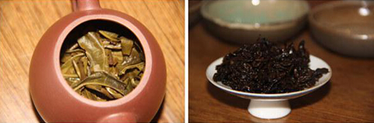 茶友必看|普洱茶生茶好还是熟茶好？