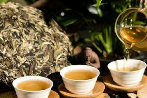 月光白属于什么茶是属于普洱茶吗？