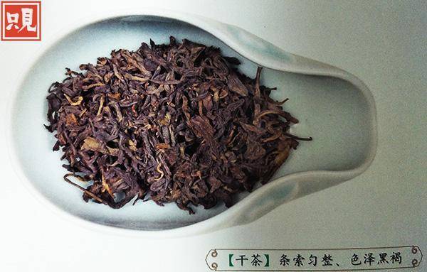 云南普洱沱茶最全笔记，这样喝茶才更健康！