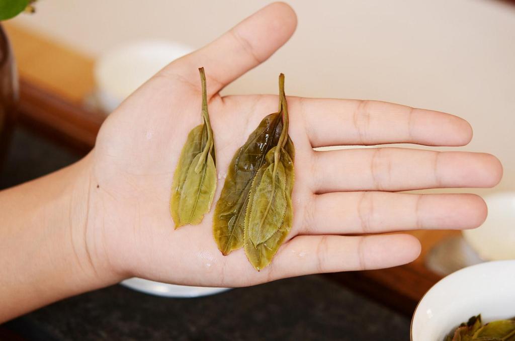 从价格、外形、口感、耐泡度和叶底五个方面辨别普洱古树茶