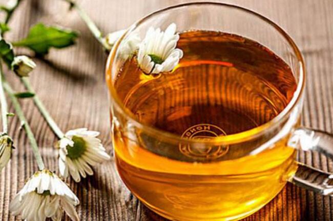 食疗养生之在春季养生适宜饮用的花茶