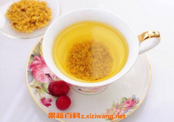 桂花茶的功效与作用桂花茶可以天天喝吗