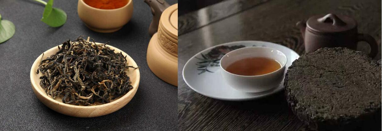 安化黑茶能减肥吗主要有金花茶的功劳！