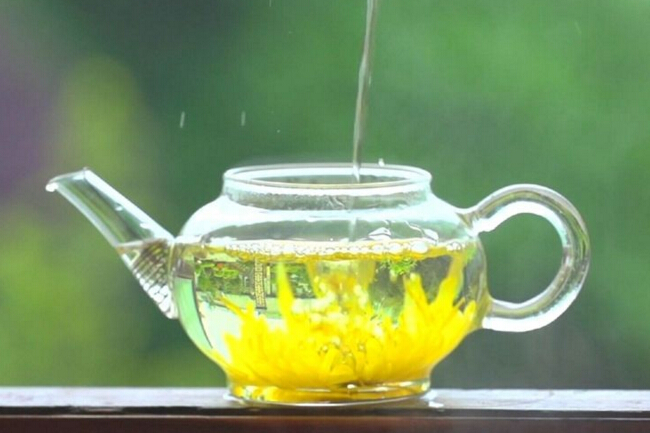 菊花茶应该如何冲泡菊花茶的泡法介绍