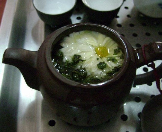 菊花茶可以泡几次菊花茶的鲜花泡法