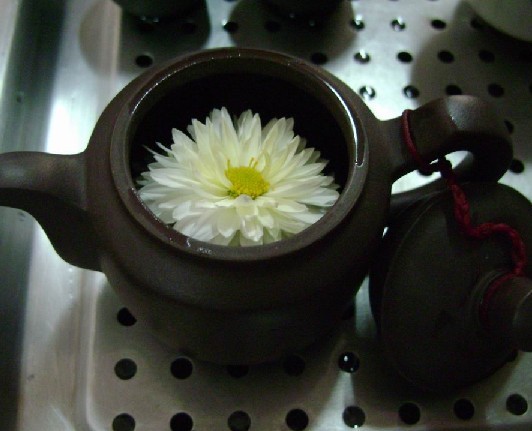 菊花茶可以泡几次菊花茶的鲜花泡法