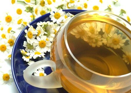 喝菊花茶的副作用喝菊花茶也有要注意的细节