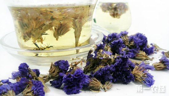 花茶和花草茶存在什么差别？花茶和花草茶品种有哪些？
