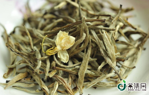 喝花茶姿势一百种|茉莉茶叶的功效与禁忌是什么？