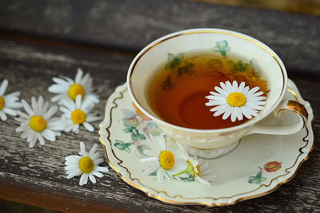 菊花和什么一起泡茶好哪些人不适合喝菊花茶