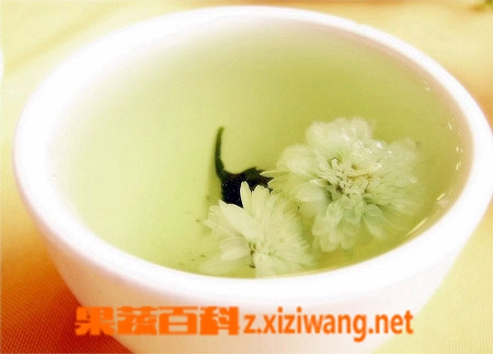 菊花茶的功效有哪些喝菊花茶的好处
