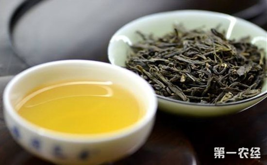茶叶小知识之黄茶的认识及特征介绍
