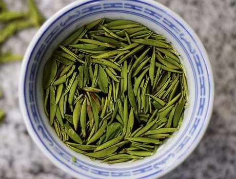 详细介绍黄茶品种“君山银针”
