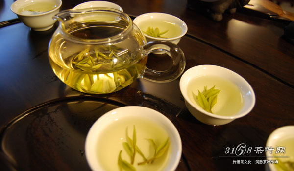 黄茶适合什么茶具冲泡泡茶最重要的是选对茶具