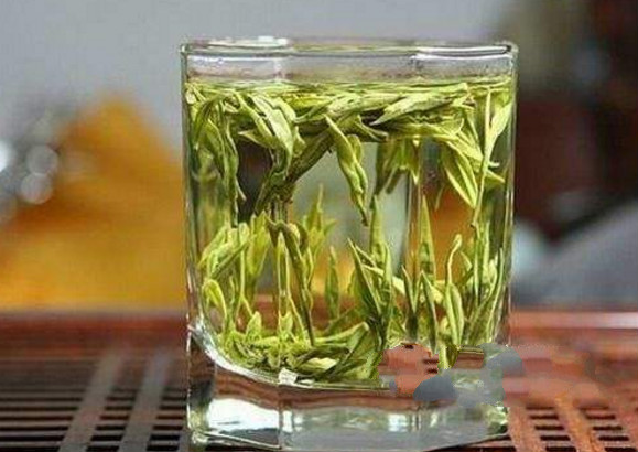 广东大叶青制造工序黄茶制作的过程