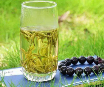 黄茶有哪些品种如何鉴别黄茶的真假呢？
