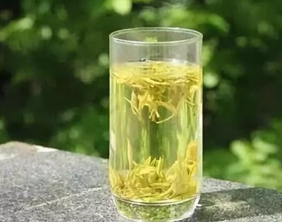 黄茶的功效与作用你知道哪些人适合喝黄茶吗？