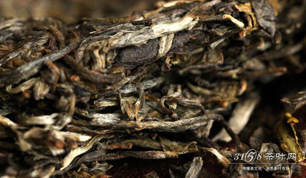 茶叶潮湿就会发霉吗黑茶的陈化需要适当的湿度