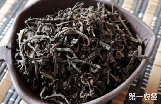 六堡茶和安化黑茶有什么区别？六堡茶和安化黑茶的区别