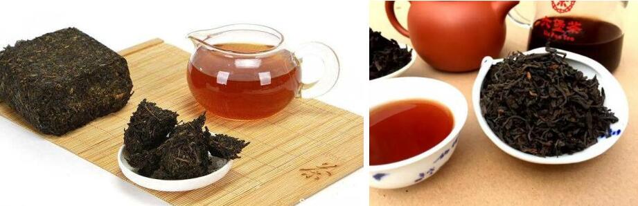 安化黑茶和六堡茶的区别不细看真不好分辨！