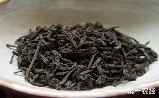 安化黑茶和六堡茶有什么区别？安化黑茶和六堡茶区别介绍