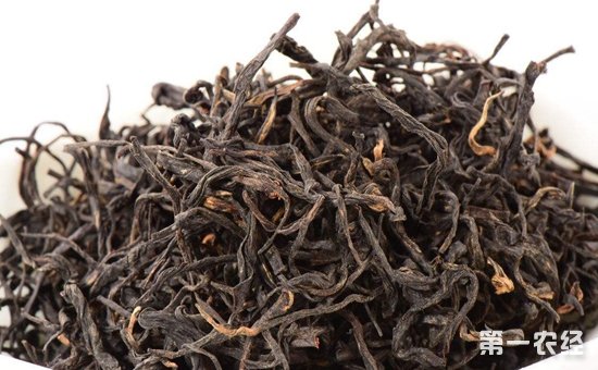 安化黑茶有哪些加工工艺？安化黑茶加工工艺介绍