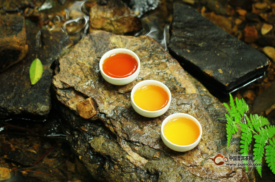 荒山野韵——一款颠覆安化黑茶印象的野放茶