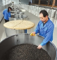湖南：擦亮老字号品牌推进黑茶产业健康发展