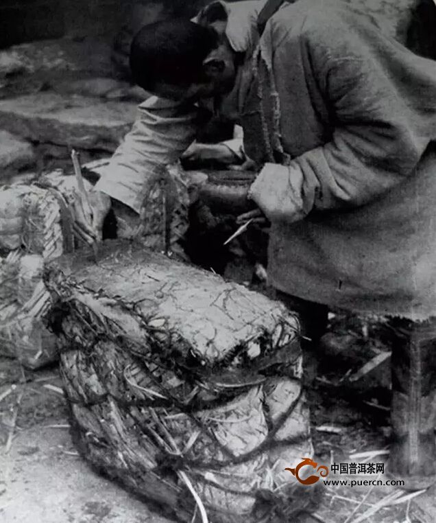 中国黑茶鼻祖—“藏茶”名称源流考
