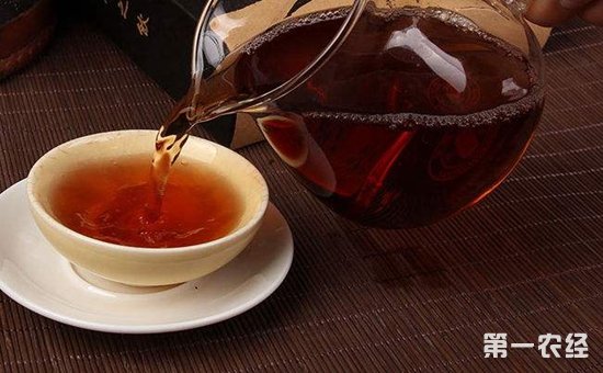 安化黑茶和六堡茶有什么区别？安化黑茶和六堡茶的区别