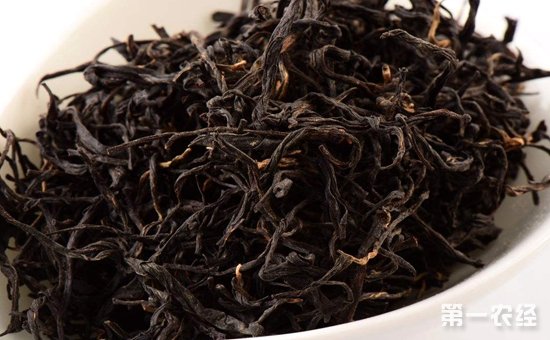 黑茶可以放多久？黑茶的保存方法及注意事项