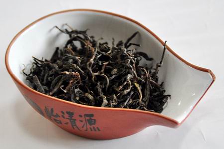 研究已40余年施兆鹏谈黑茶的靓丽前景