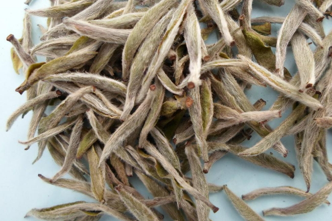 白茶种类有哪些揭秘白茶的历史与工艺