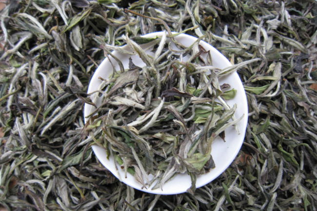 白茶的功效与作用：防病杀菌祛暑解毒