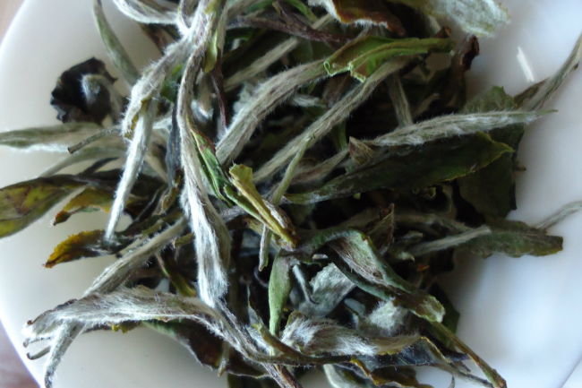 白茶知识分享：白茶的分类及其功效作用