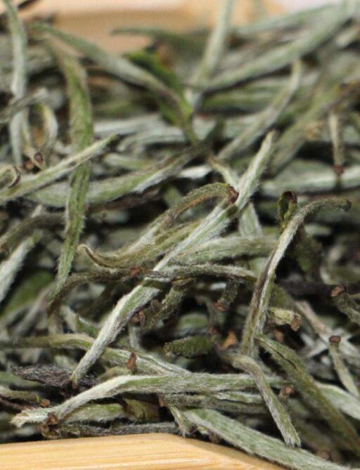 白茶怎么保存最好白茶能储存多久