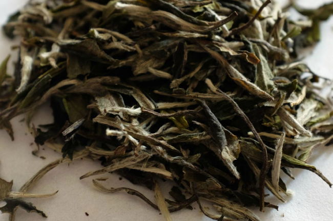 茶叶知识科普：白茶的存放时间是多久？