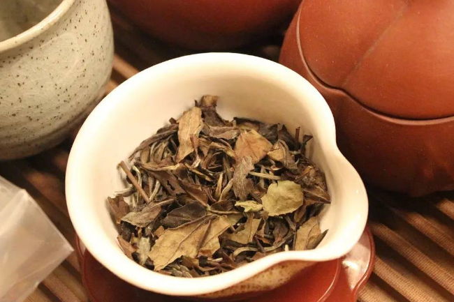 白茶的保健、养生功效美容最佳养颜茶