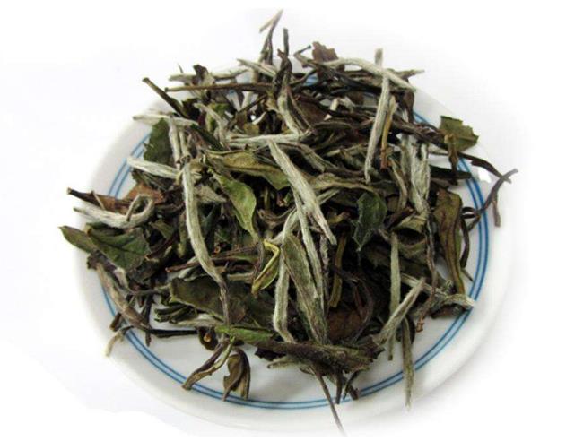 白茶的产地在哪里白茶种植的历史知识